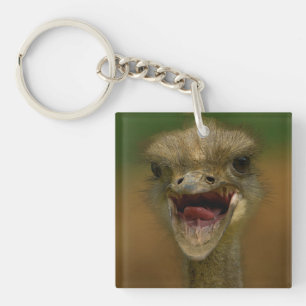 Ostrich's Embrace