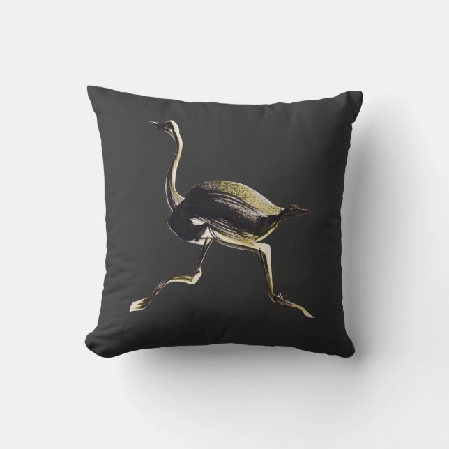 Ostrichspring Kudde (Framsida)