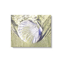 Ostron Snäcka under vatten