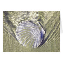 Ostron Snäcka under vatten