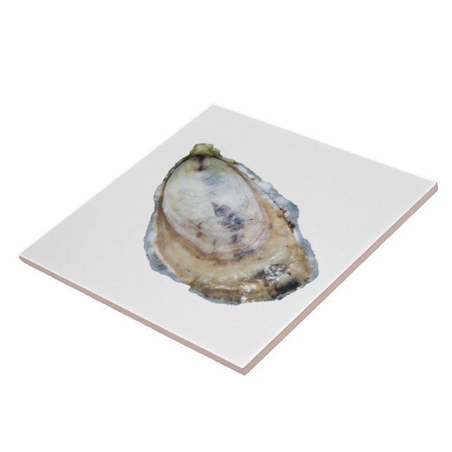 Ostronen belägger med tegel - planlägg en vit kakelplatta (Sidan)