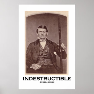 Ostrukturerbar (Phineas Gage) Poster
