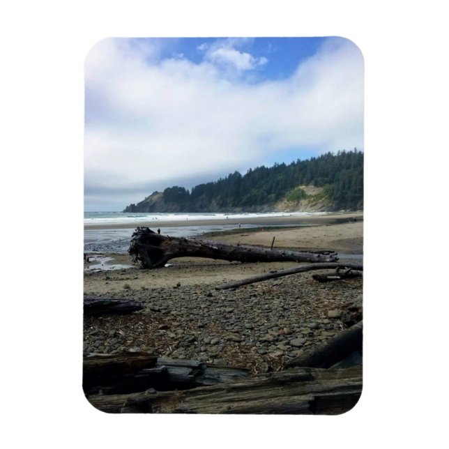 Oswald Väster State Park, Oregon Kusten Magnet (Vertikal)