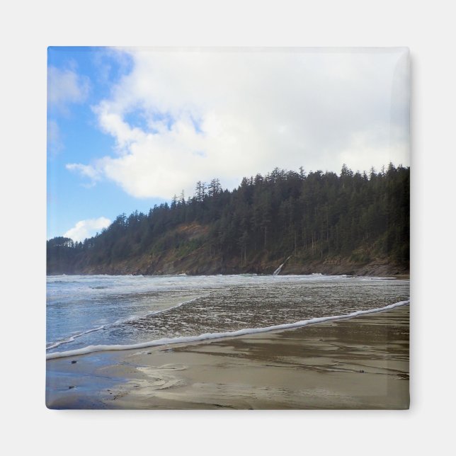 Oswald Väster State Park, Oregon Kusten Magnet (Framsidan)