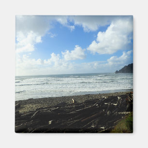 Oswald Väster State Park, Oregon Kusten Magnet