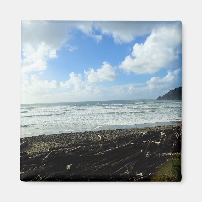 Oswald Väster State Park, Oregon Kusten Magnet (Framsidan)