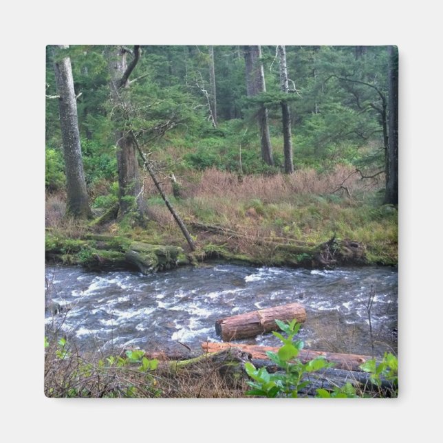 Oswald Väster State Park, Oregon Kusten Magnet (Framsidan)