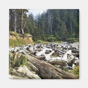 Oswald Väster State Park, Oregon Kusten Magnet