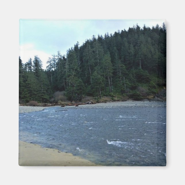 Oswald Väster State Park, Oregon Kusten Magnet (Framsidan)