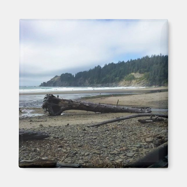 Oswald Väster State Park, Oregon Kusten Magnet (Framsidan)