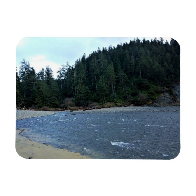 Oswald Väster State Park, Oregon Kusten Magnet (Horisontell)