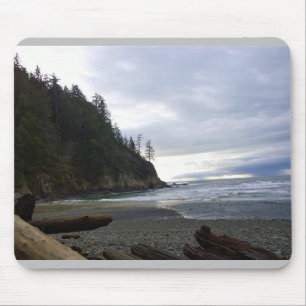 Oswald Väster State Park, Oregon Kusten Musmatta