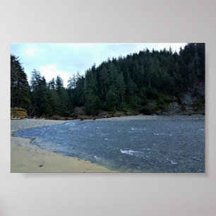 Oswald Väster State Park, Oregon Kusten Poster