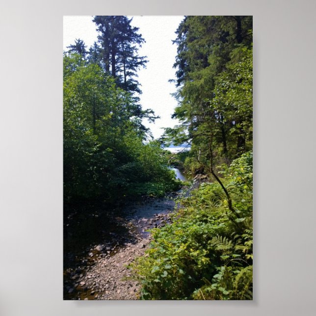Oswald Väster State Park, Oregon Kusten Poster (Framsidan)