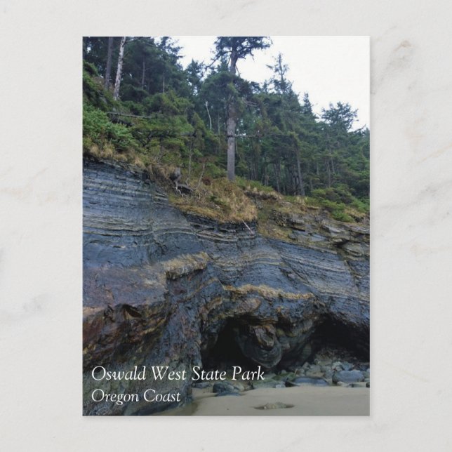 Oswald Väster State Park, Oregon Kusten Vykort (Framsida)