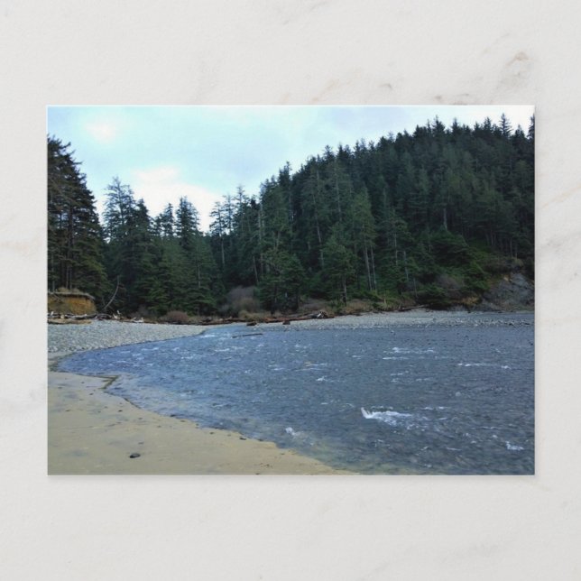 Oswald Väster State Park, Oregon Kusten Vykort (Framsida)