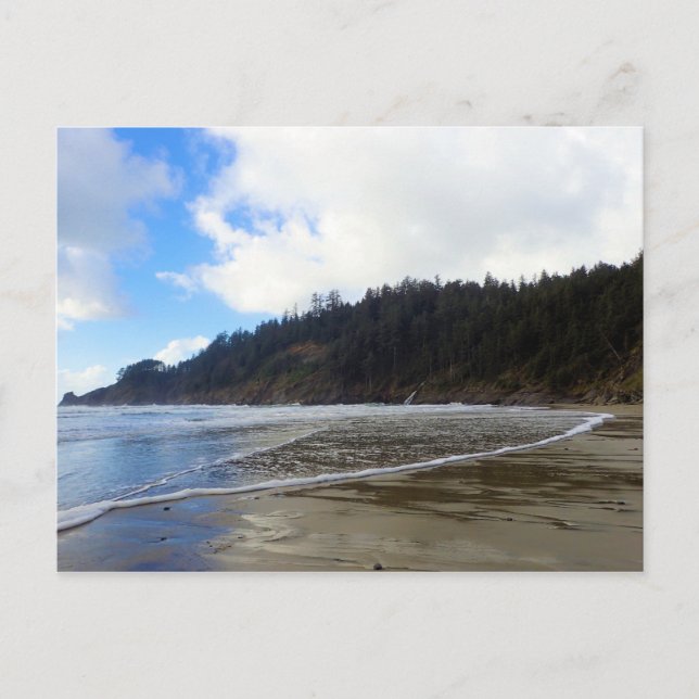 Oswald Väster State Park, Oregon Kusten Vykort (Framsida)