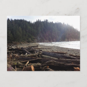 Oswald Väster State Park, Oregon Kusten Vykort