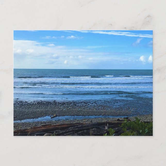 Oswald Väster State Park, Oregon Vykort (Framsida)