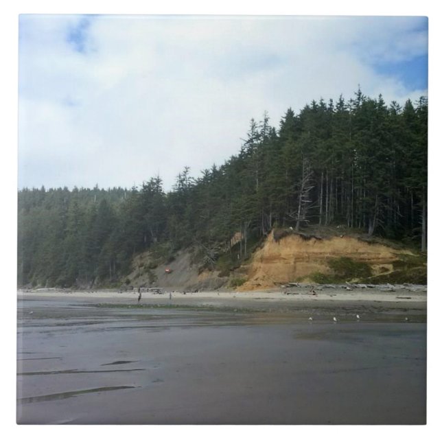 Oswald West State Park, Oregon Coast Kakelplatta (Framsidan)