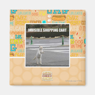 OSYNLIG SHOPPINGVAGN MAGNET