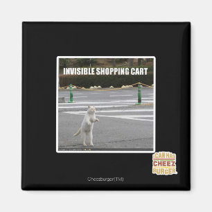 OSYNLIG SHOPPINGVAGN MAGNET