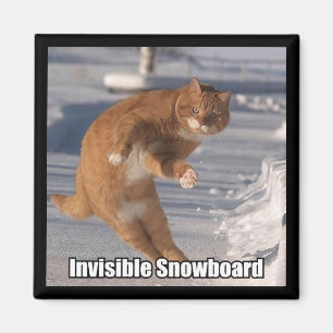 osynlig snowboardmagnet magnet