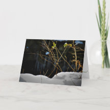 "Osynliga Minnesnowta" Julkort