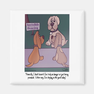 Osynligt magnet