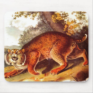 otäckig bobcat musmatta