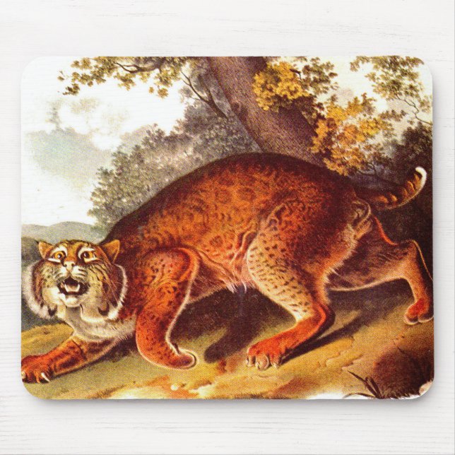 otäckig bobcat musmatta (Framsidan)