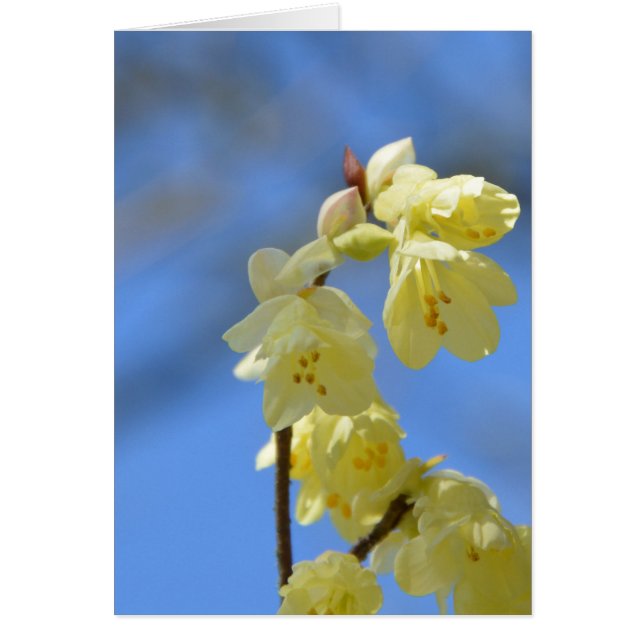 otålighet hälsningskort (Framsidan)