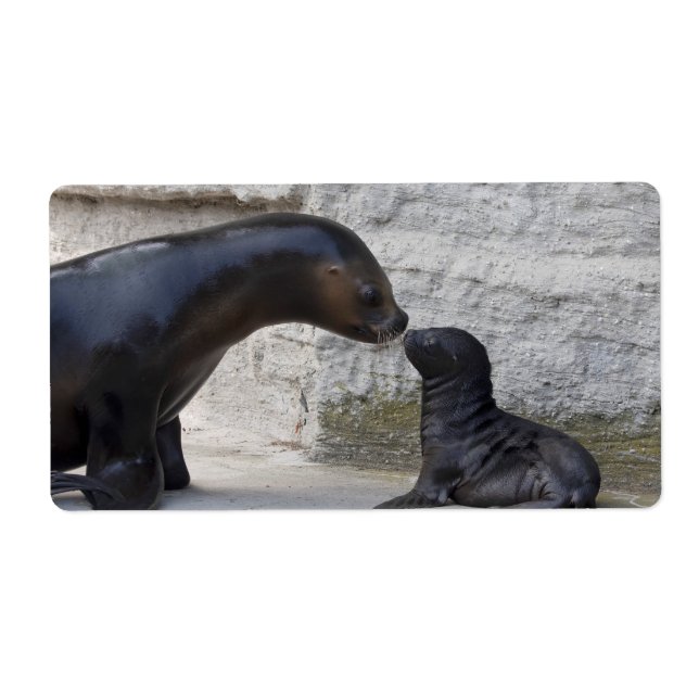 Otaria flavescens fraktsedel (Framsidan)