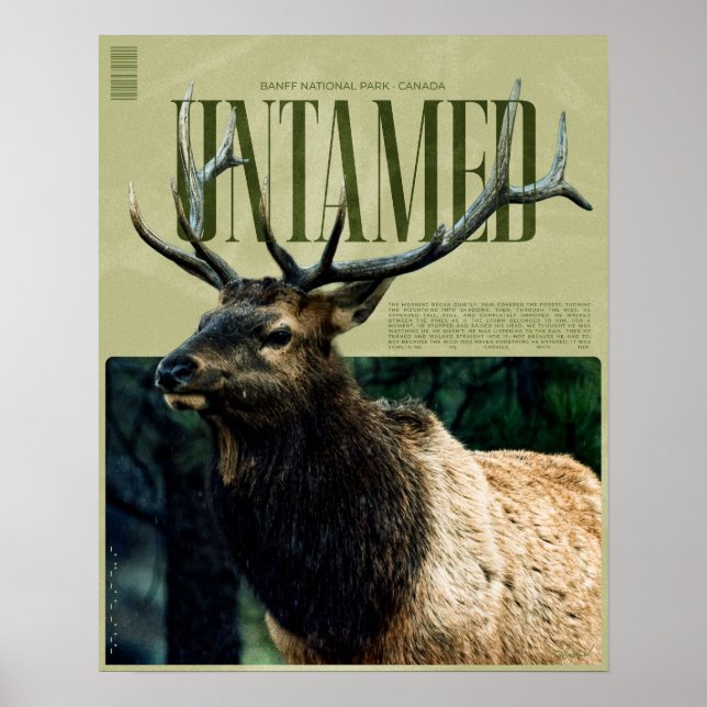 Otemjukad Banff Nationalpark Älg Poster (Framsidan)