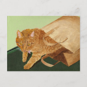 Otis the Cat Vykort