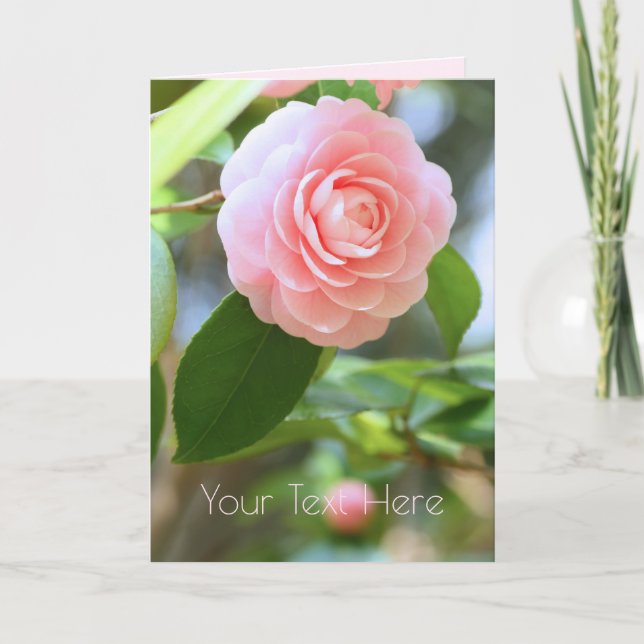 Otome-tsubaki: Camellia [Greeting Card] Kort (Framsida)