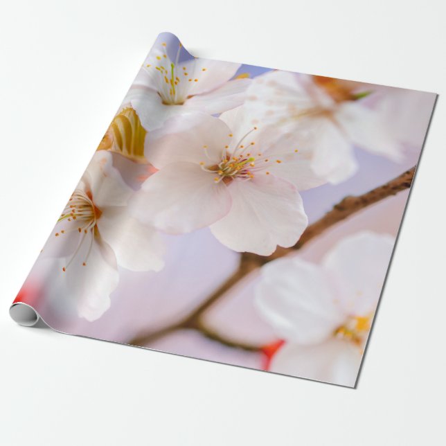 Otrolig skönhet hos Sakura Flowers Presentpapper (Utrullad)