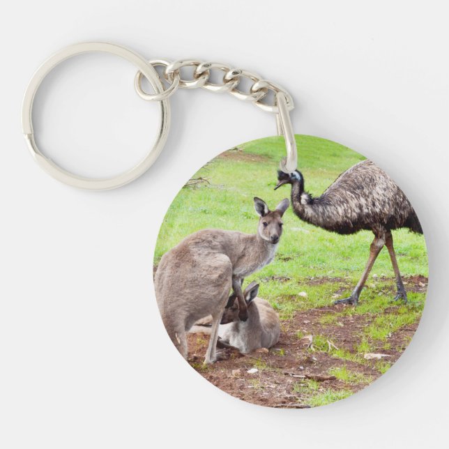 "Otroliga kanaler: Kangaroo- och Emu-Vänskapen" (Framsidan)