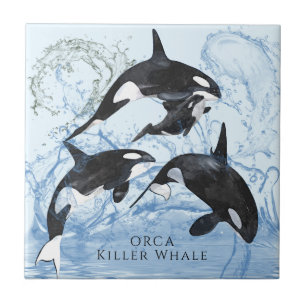 Otroliga Orcas med svart och vitt vatten Kakelplatta