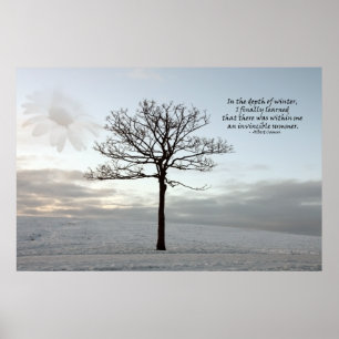 Otroligt sommar - ljus i Mörken Vinter Poster