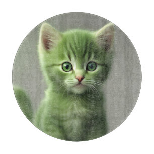 Otrovärdig Kitten