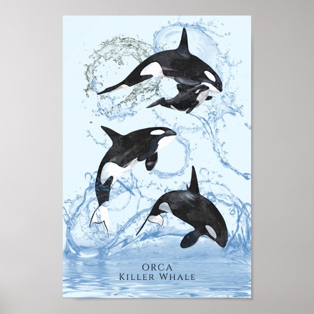 Otrovärdiga Orcas med svart och vitt vatten Poster (Framsidan)