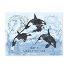 Otrovärdiga Orcas med svart och vitt vatten