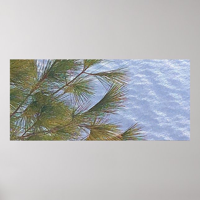 Ottawa Winter Nature. Köp nu Poster (Framsidan)