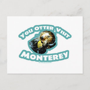 Otter-besök i Monterey Vykort