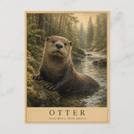 Otter Forest Rivers VINTAGE Vykort