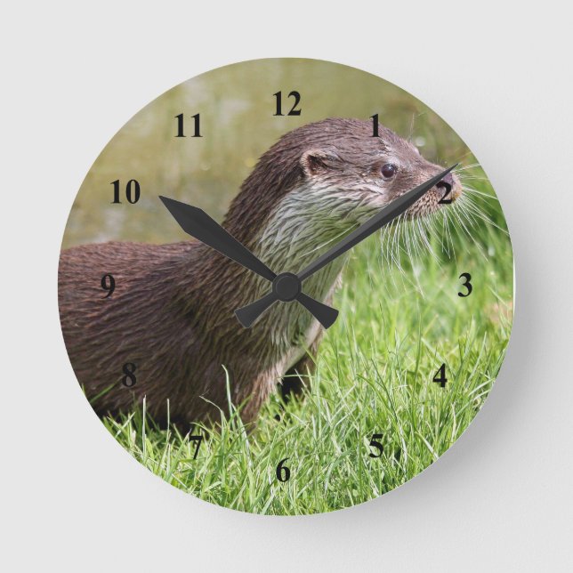Otter Grass Wildlife Photo Rund Klocka (Framsida)