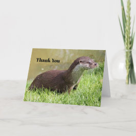 Otter Grass Wildlife Photo Tack Kort