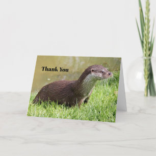 Otter Grass Wildlife Photo Tack Kort