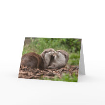 Otter Greeting Card